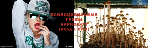 не бодяженный Каменка