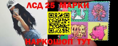 эйфоретик Владимир