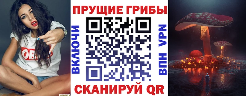 Галлюциногенные грибы мицелий купить закладку Махачкала