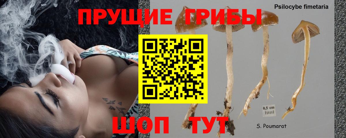Псилоцибиновые грибы ЛСД  Вход с VPN  Махачкала 